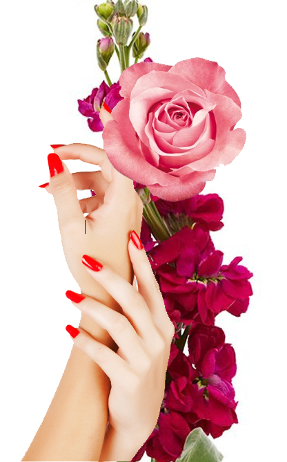 La Riviera Salon and Spa | Not Just a Salon, a Destination | Metairie's premiere full service salon, spa, massage, waxing, nails and pedicure